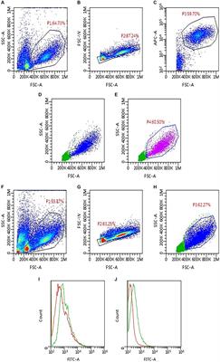 Exploring the dynamics of Programmed Death-Ligand 1 in canine lymphoma: unraveling mRNA amount, surface membrane expression and plasmatic levels